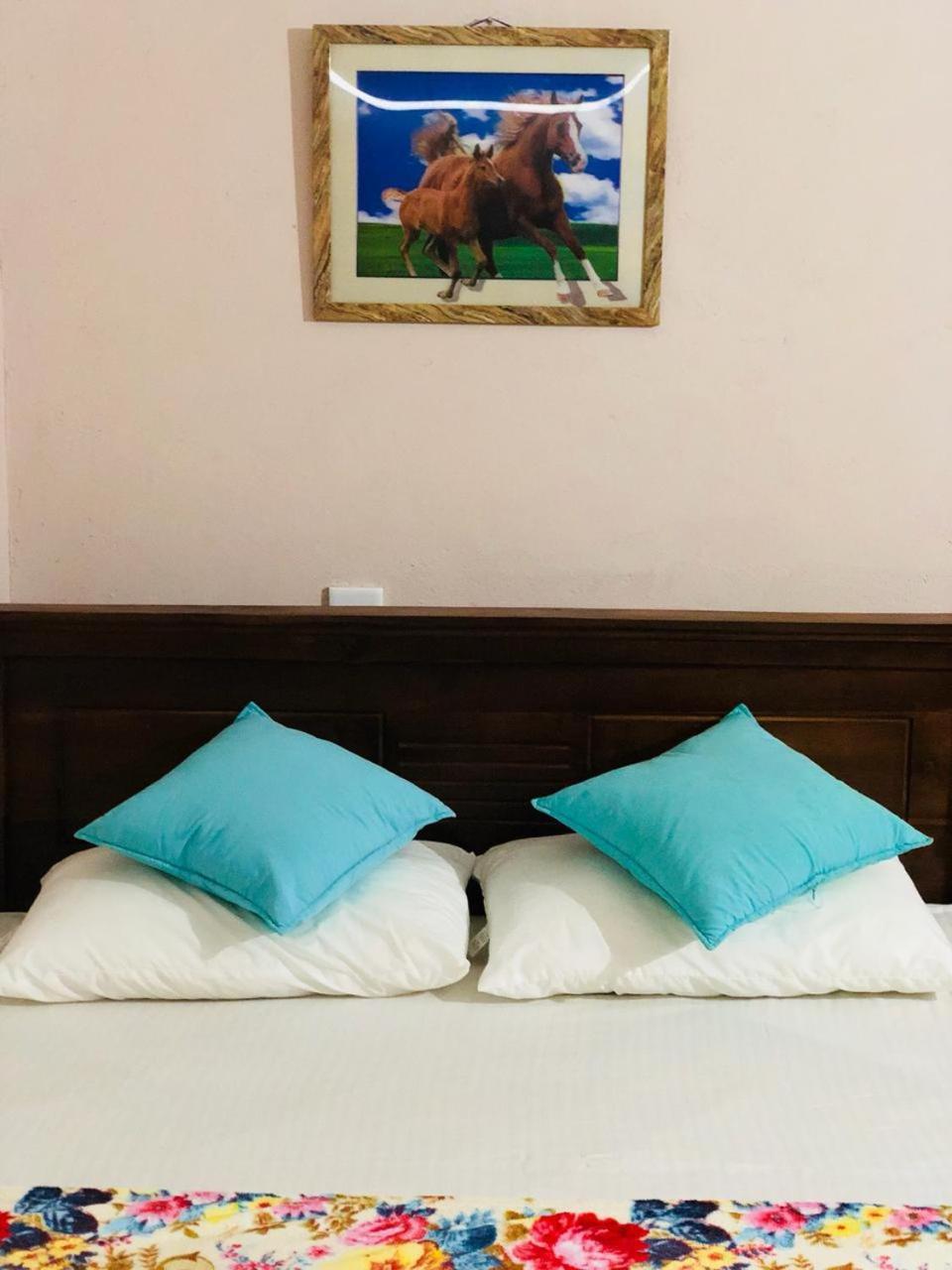 Bed and Breakfast House Of Ahasna Katunayaka Exterior foto